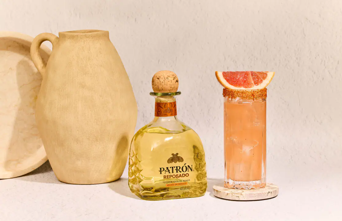 PATRÓN PALOMA 1.jpg